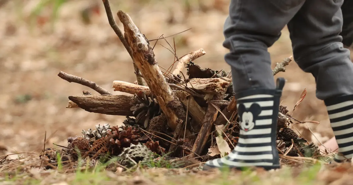 Les 5 sens en automne