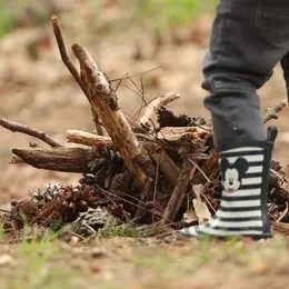 Les 5 sens en automne