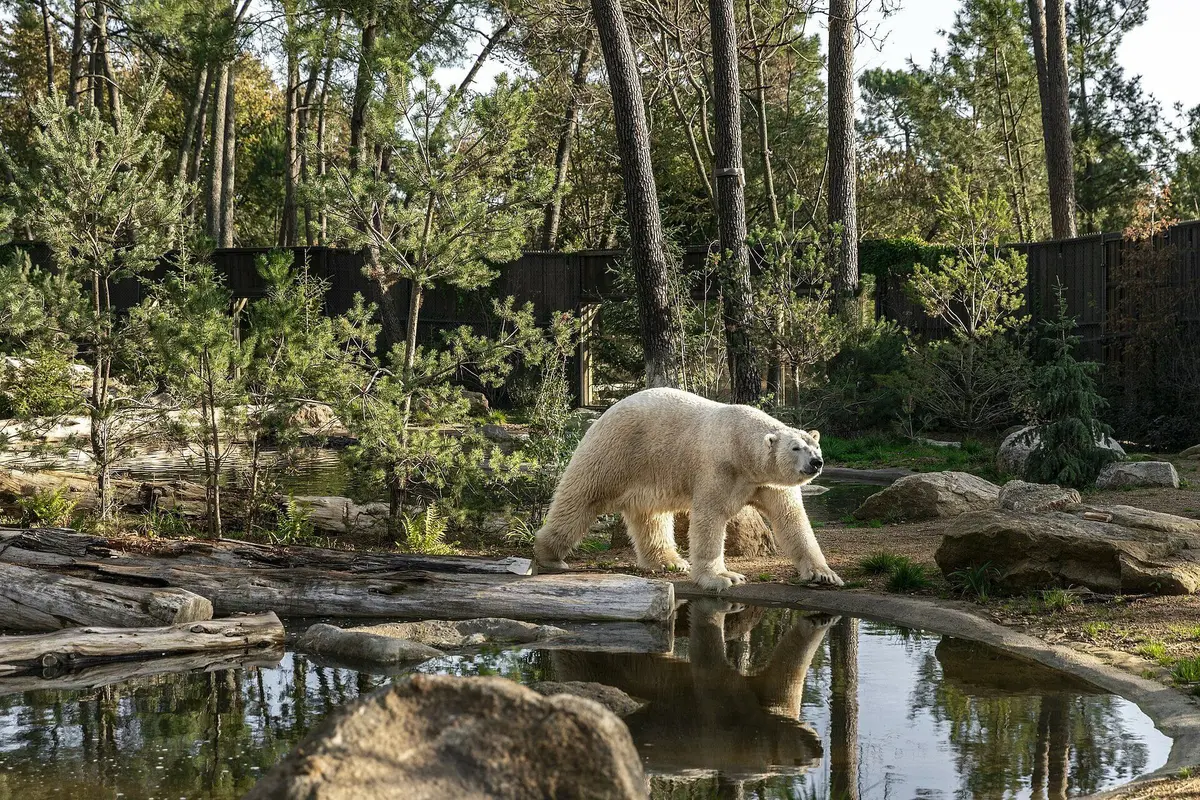 Les 6 meilleurs zoos, aquariums et parcs animaliers autour de Tours