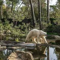 Les 6 meilleurs zoos, aquariums et parcs animaliers autour de Tours &copy; www.zoo-la-fleche.com