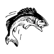 Les 70 heures du Printemps