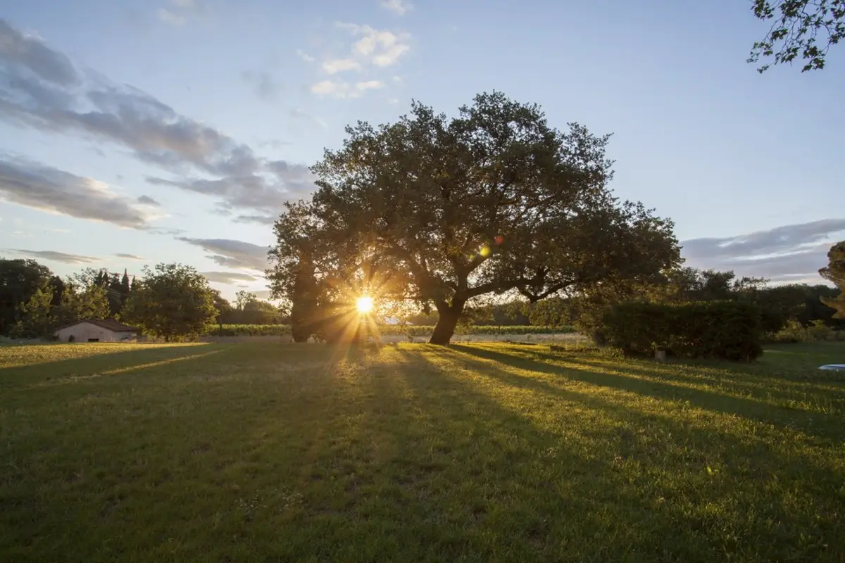 Les Accords Mets & Vins Au Domaine Villeclare