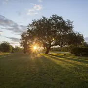 Les Accords Mets & Vins Au Domaine Villeclare