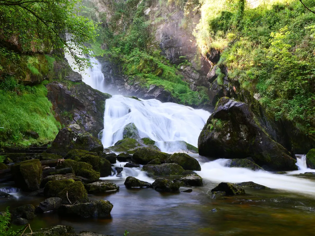 Les Activités du Parc Vuillier :  Visite guidée