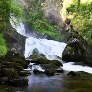 Les Activités du Parc Vuillier :  Visite guidée
