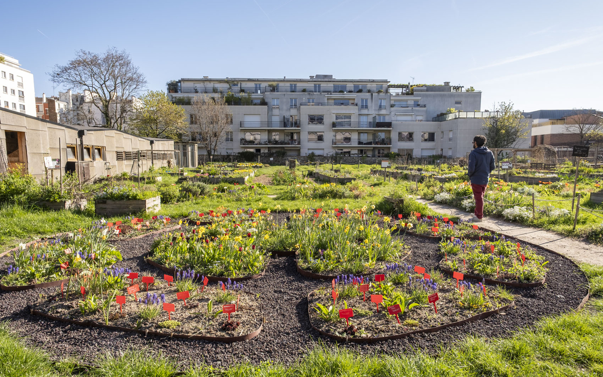 Les activités du Paysan Urbain Paris : le Programme de Septembre 2026
