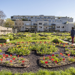 Les activités du Paysan Urbain Paris : le Programme de Septembre 2026