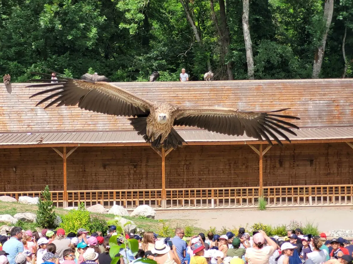Les Aigles du Léman