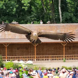 Les Aigles du Léman