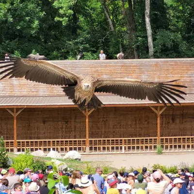 Les Aigles du Léman