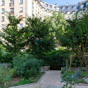 Les aménagements végétalisés du 17ème arrondissement