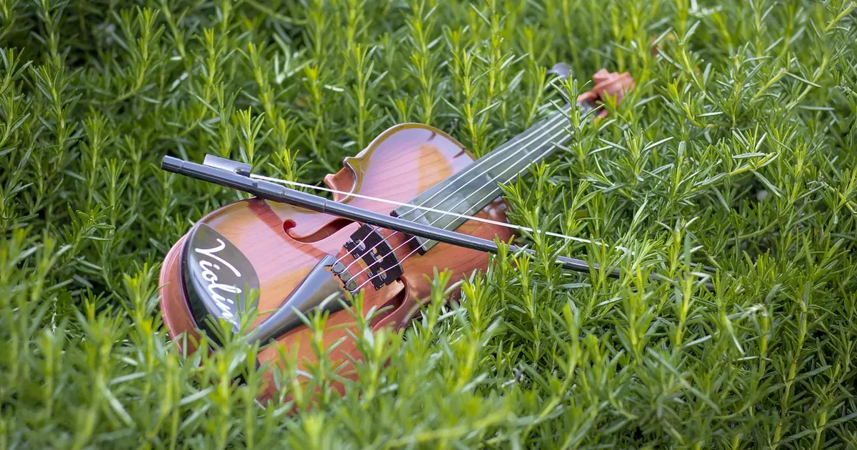 Les Amis de Ségur : Concert flûte - violon