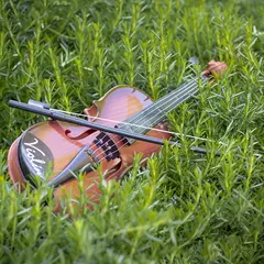 Les Amis de Ségur : Concert flûte - violon