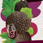 Les Ampélofolies Du Cabardès - Truffe Et Vin