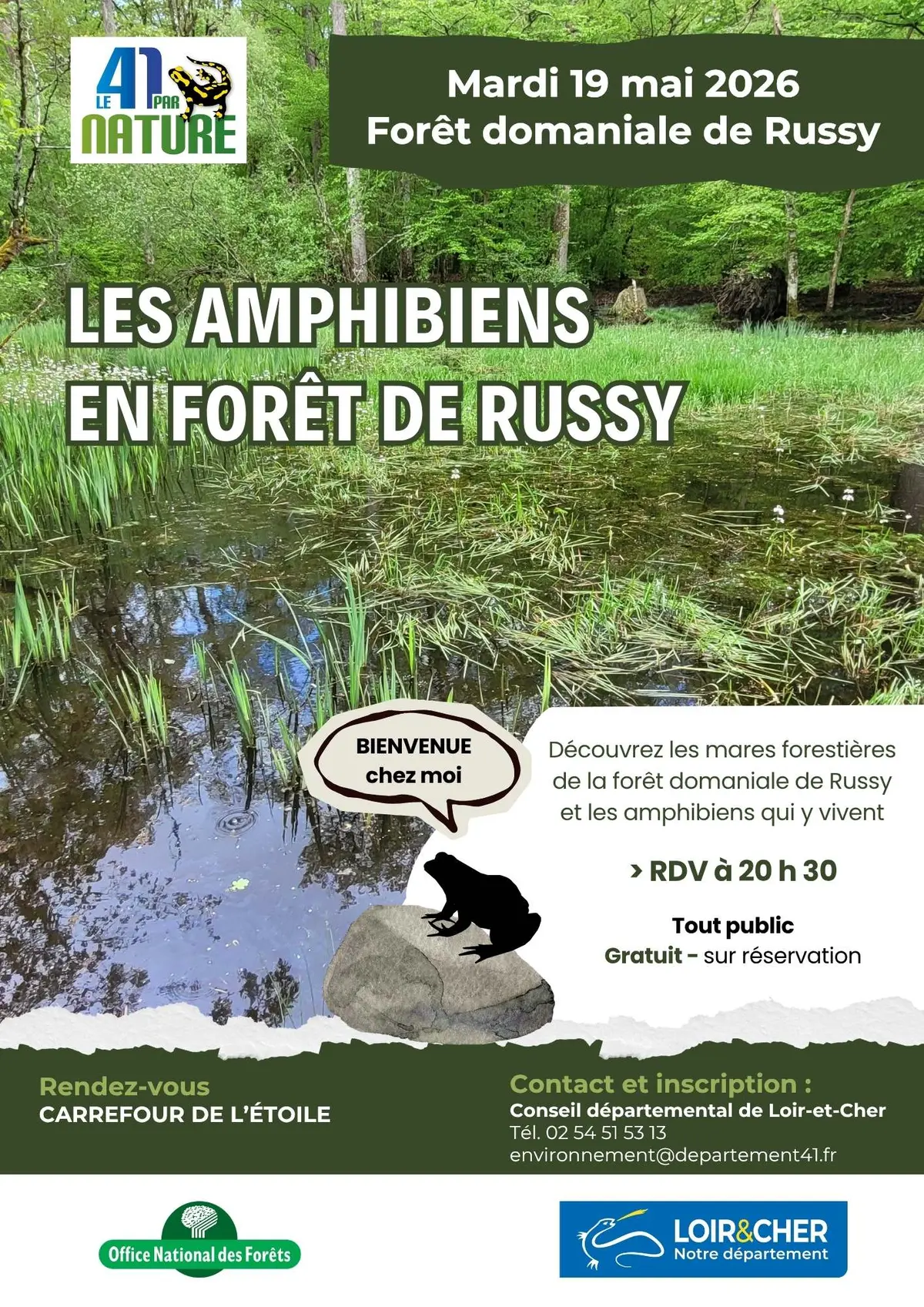 Les amphibiens en Forêt de Russy