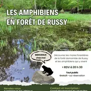 Les amphibiens en Forêt de Russy