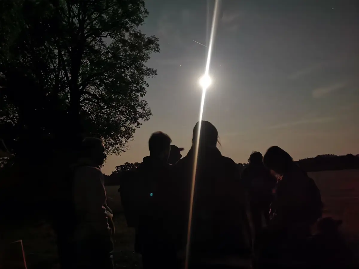 Les animaux à la tombée de la nuit