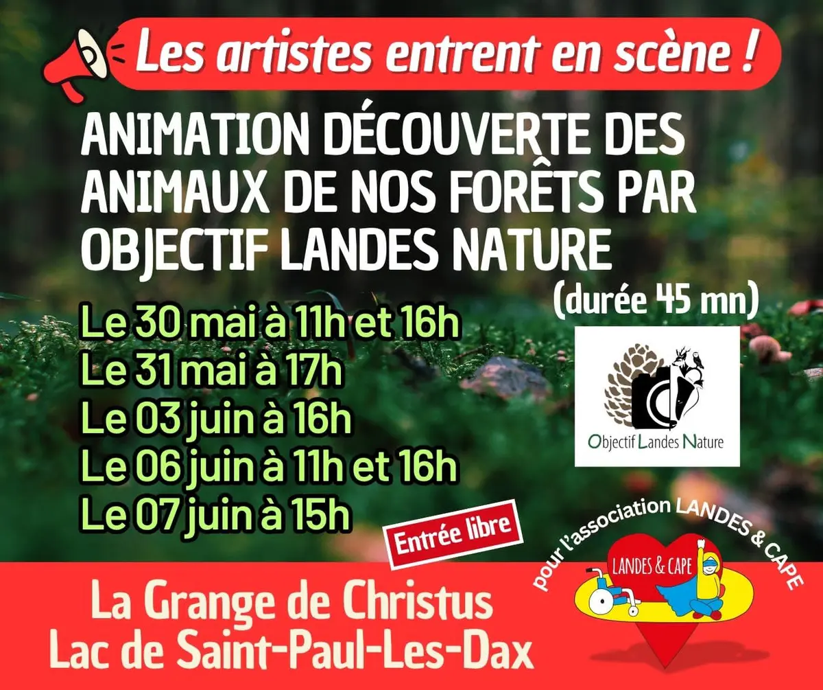Les animaux de la forêt