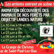Les animaux de la forêt