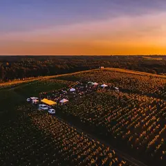 Les Apéros Dorés du Château La Tour Blanche