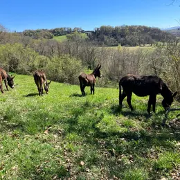 Les apprentis du vendredi, à la ferme Bibane