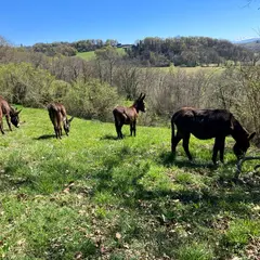 Les apprentis du vendredi, à la ferme Bibane