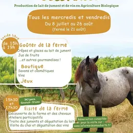 Les après-midis de l'été à la ferme des Mauberts