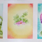 Les aquarelles de Deborah