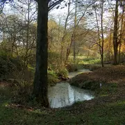 Les arbres remarquables