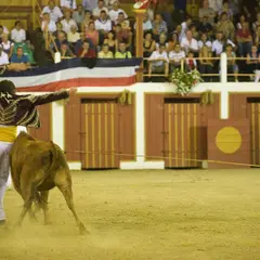 Les arènes de Gamarde les Bains avec Jean-Pierre