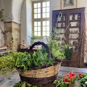 Les ateliers de l'herboristerie : fabrication d'un sirop de plantes en famille