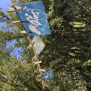Les Ateliers De La Cabane : Découverte Du Cyanotype