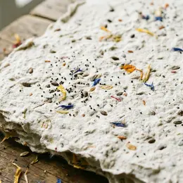Les Ateliers De La Cabane : Sous Le Papier La Graine !