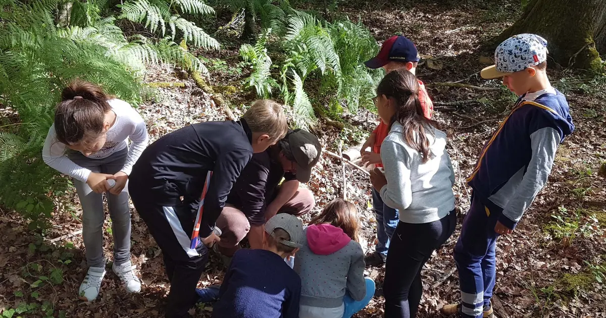 Les ateliers de la forêt