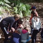 Les ateliers de la forêt