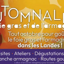 Les Automnales aux Halles de Saint-Sever