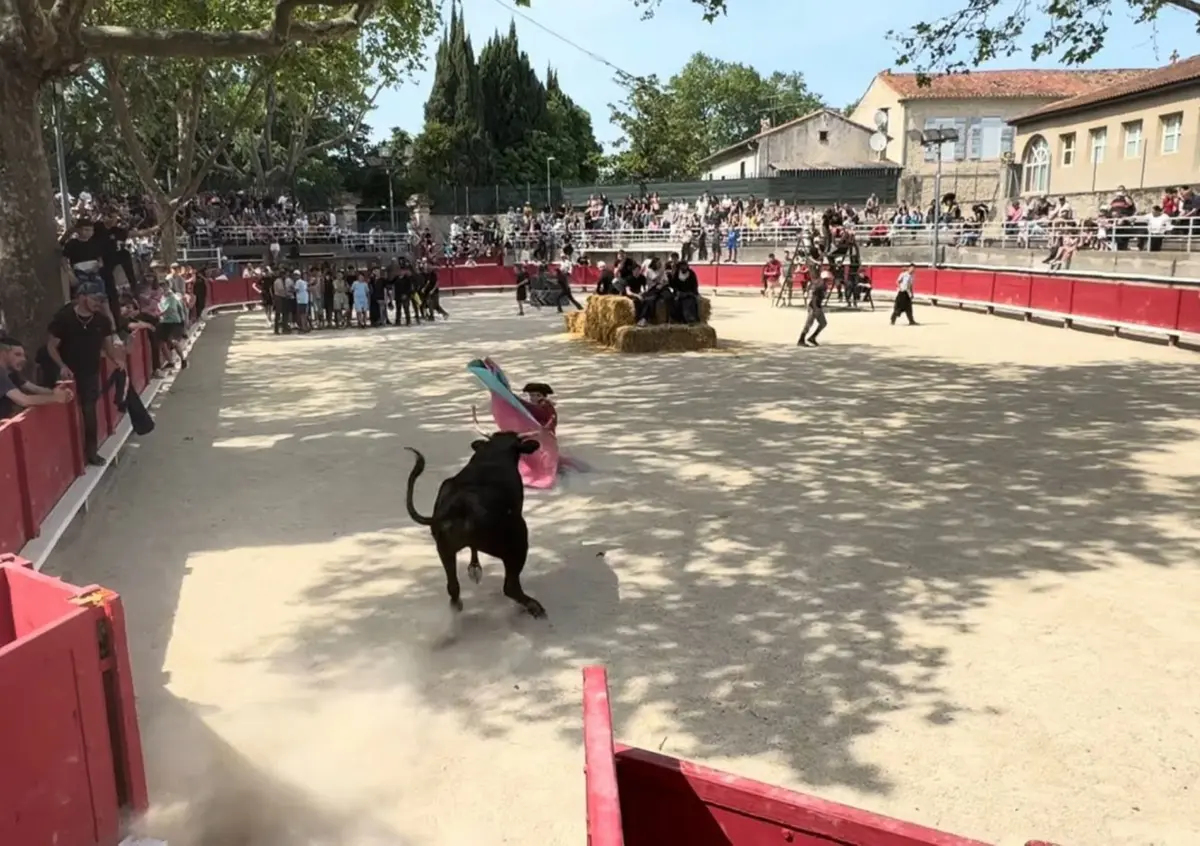 Les Automnales de Tarascon