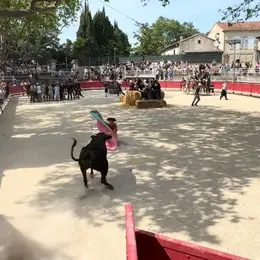 Les Automnales de Tarascon