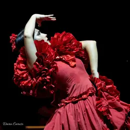 Les Automnales Flamencas