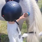 Les balades à cheval