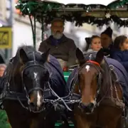 Les balades en calèche