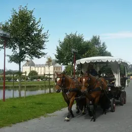 Les balades en calèche de l'été