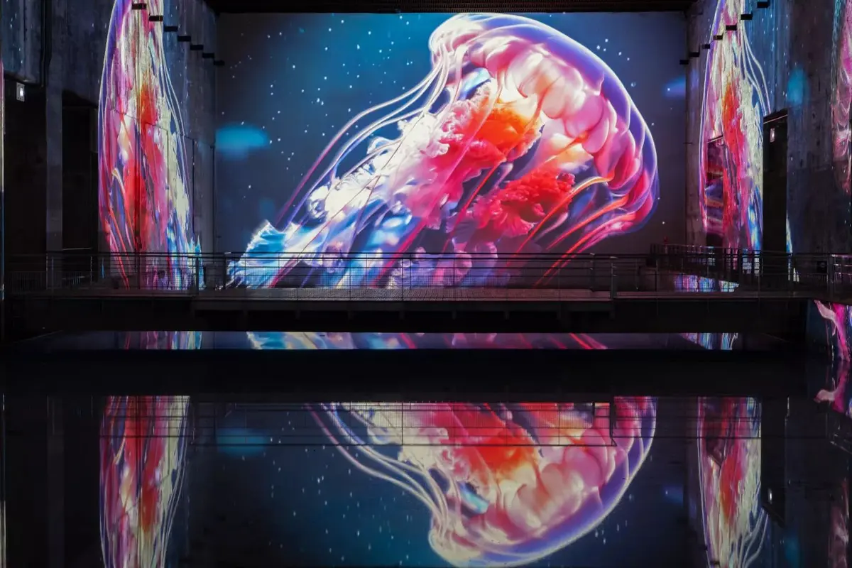 Les Bassins des Lumières