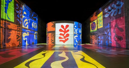 Les Bassins des Lumi&egrave;res : Exposition Matisse et Frida Kahlo