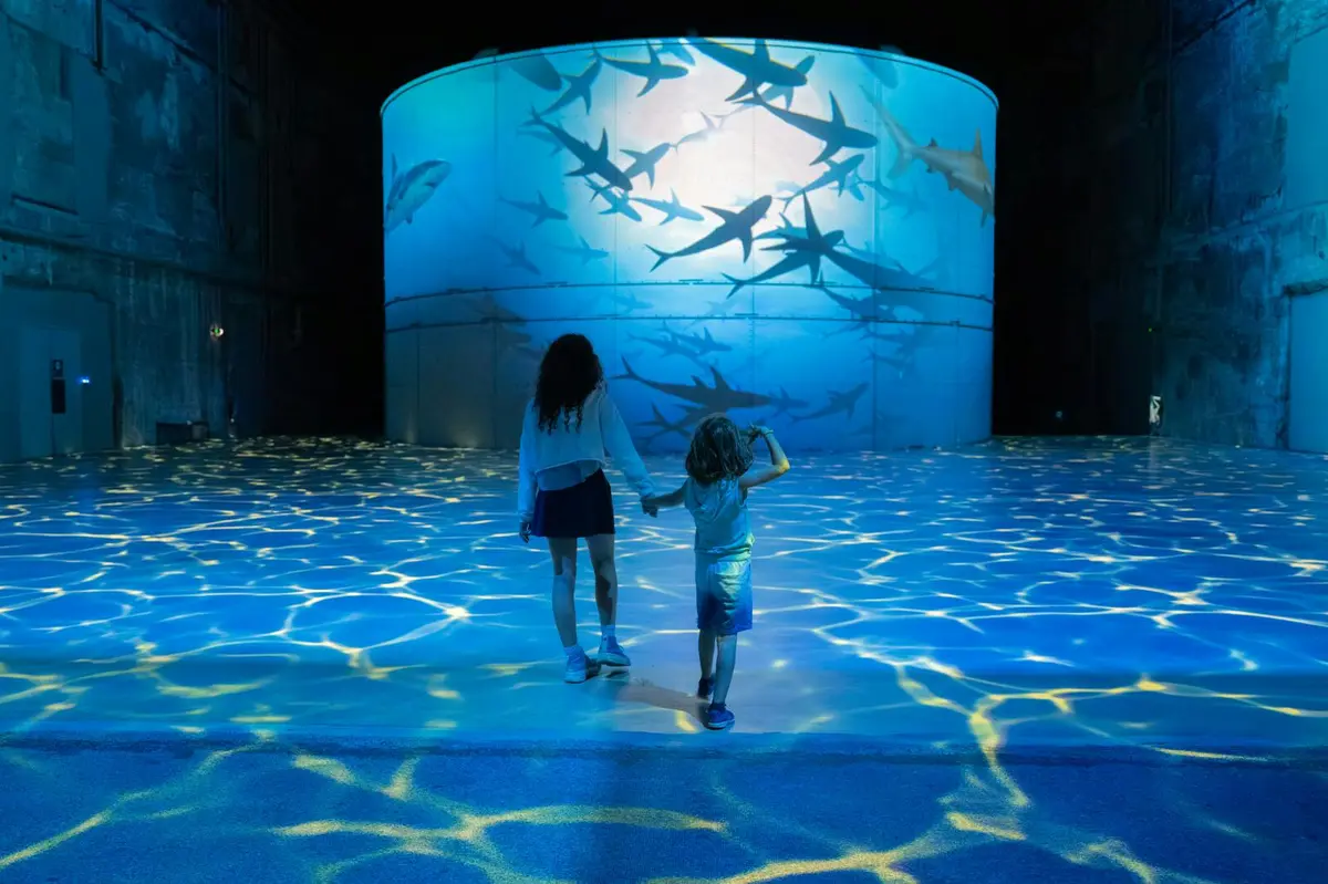 Deux personnes, un adulte et un enfant, se dirigent vers un grand &eacute;cran circulaire affichant une projection de requins en train de nager.