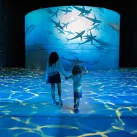 Deux personnes, un adulte et un enfant, se dirigent vers un grand écran circulaire affichant une projection de requins en train de nager. &copy; © Cultuirespaces