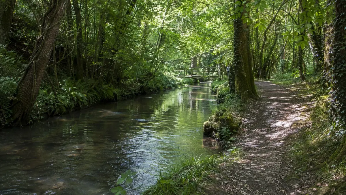 Les berges de l’Eau Bourde