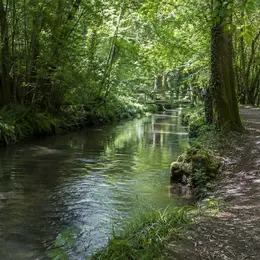 Les berges de l’Eau Bourde