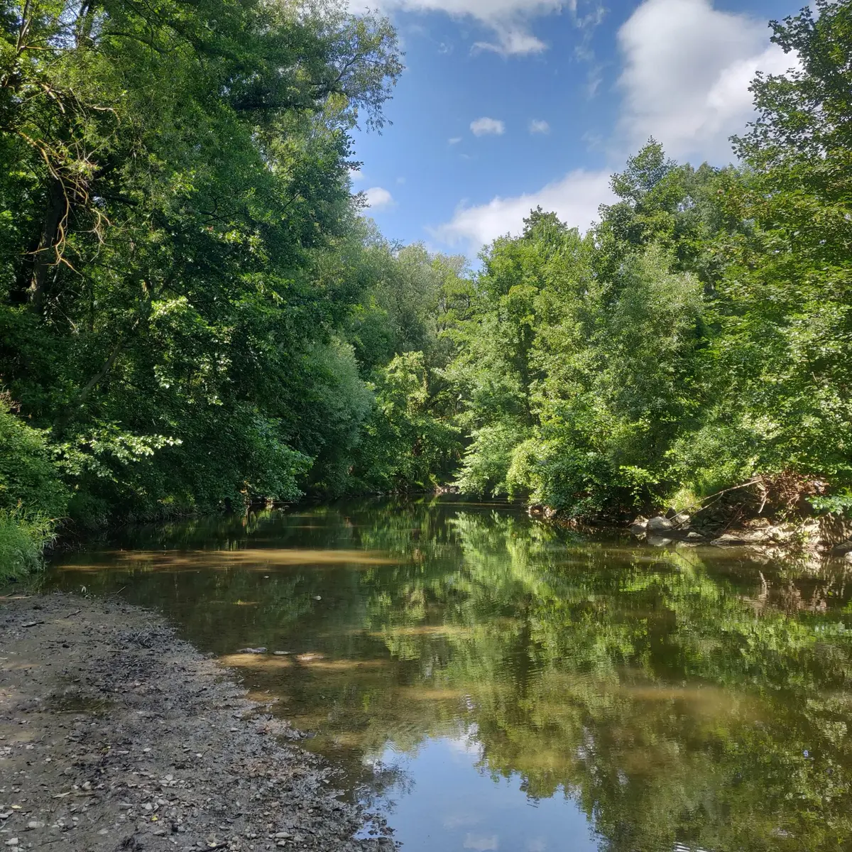 Les bords de l'Ill à Mulhouse