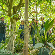 Les Botaniques d'Auteuil, voyage au centre des serres